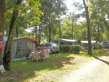 Pitches under the trees