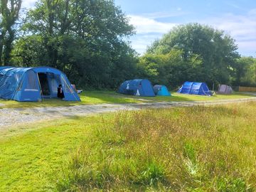 Hard standing pitches on the side of the meadow, suitable for Camper Vans or tents alike.