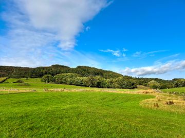 Lots of animals in the fields nearby. the cows were rather loud early in the morning!