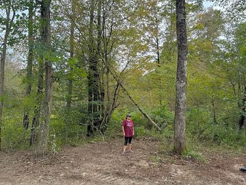 Camping surrounded by mature trees