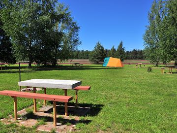 Tent pitches