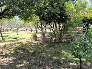 Hammock and swing in the grounds