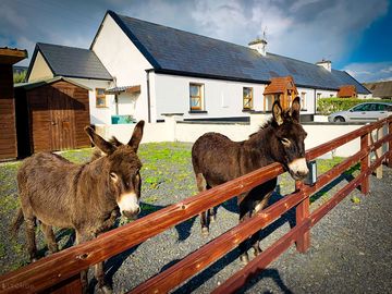 Outside the cottages