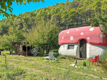 Mushroom house