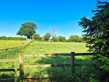 Rural views
