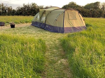 A neatly mown tent pitch