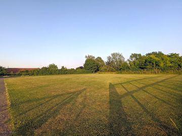 Grass pitches edged by trees