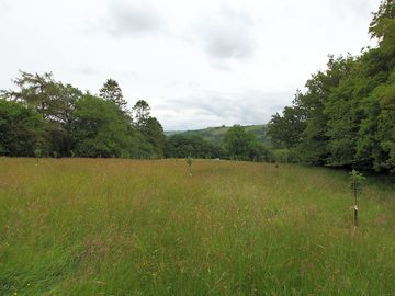 View over the pitches