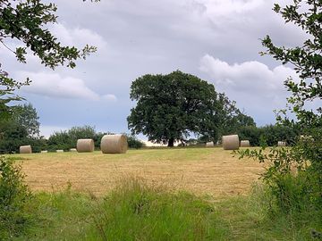 Haymaking on the farm