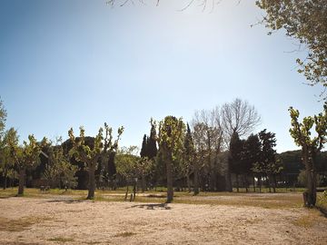 Spacious pitches