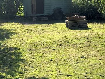 Communal barbecue and firepit area