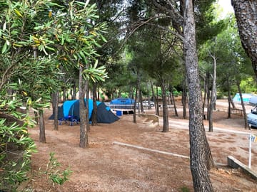 Visitor image of the under the pines pitches