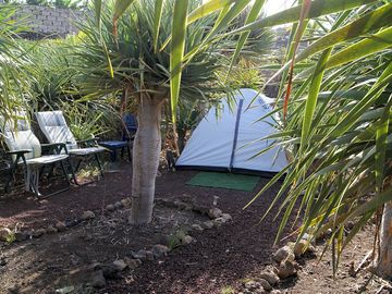 Shady and sunny spots