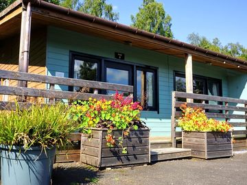 Woodland pine lodge