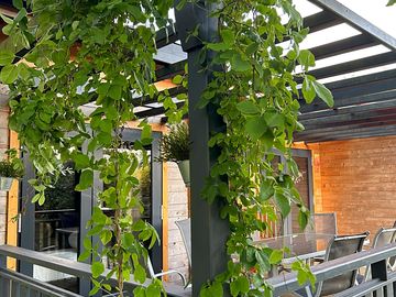 Covered lodge terrace