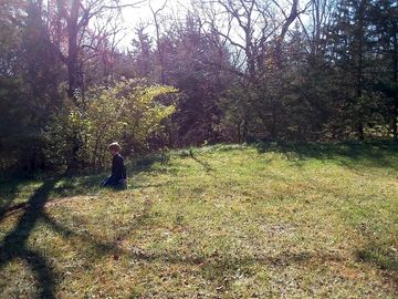Tent sites hidden away in the woods