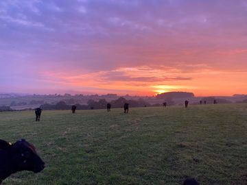 Sunrise over the farm
