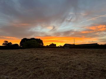 Pitches at sunset