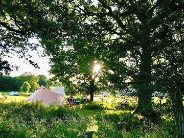 Five-metre bell tent
