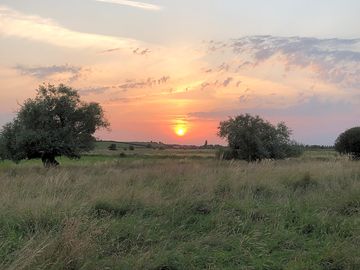 West-facing campsite with spectacular sunsets