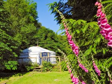 View of the lake yurt