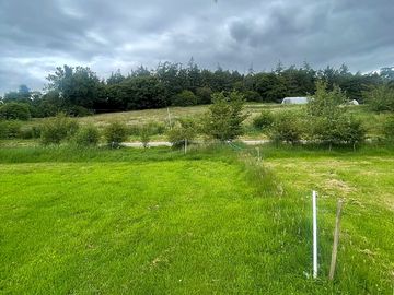 Grass Caravan Site