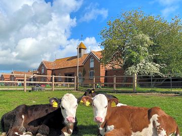 Farm park