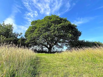 Large private pitches