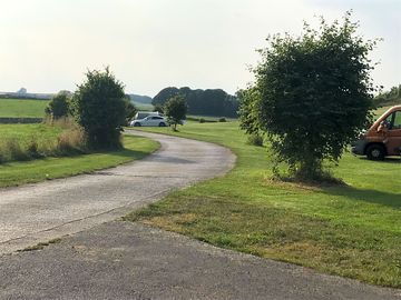 Adult area access