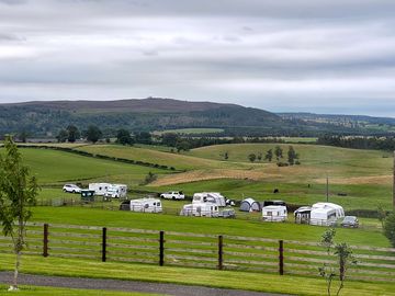 Views of the pitches