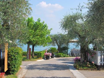 Lake view from the site