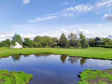 Reflections in the pond