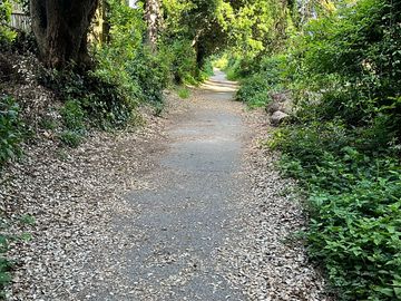 Paths nearby