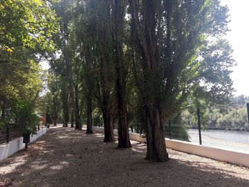 Shady spots by the river