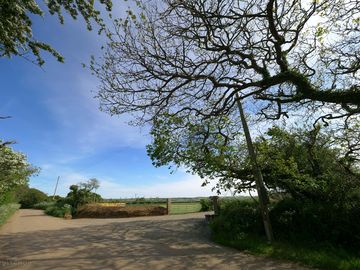 A view from the road approaching the site