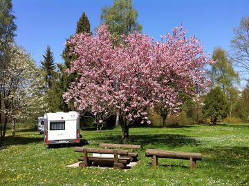 Spring colours at the site