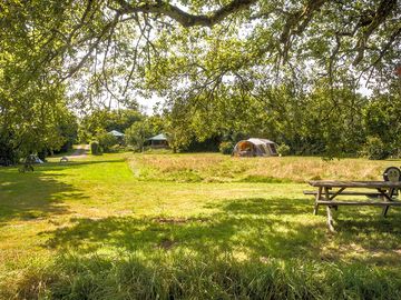 Plenty of space, with picnic benches for your meals