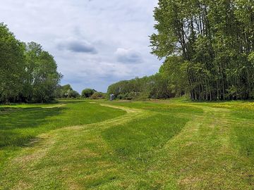 Mown camping meadow