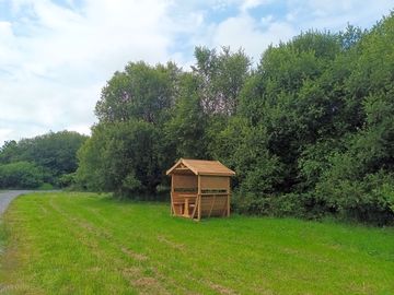 Pitch backed by trees