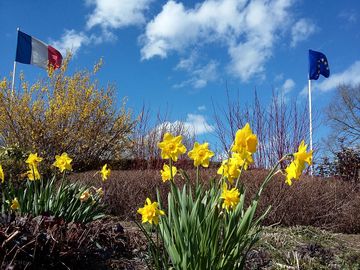 Spring season at the campsite