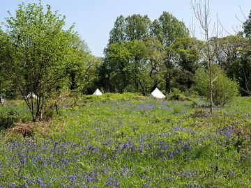 Bell tents on the riverside Meadow Camp
