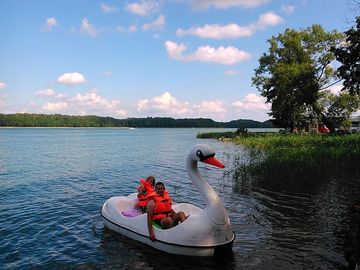 Rent the popular swan pedal boat