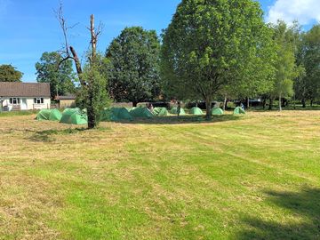 Group camping under the trees