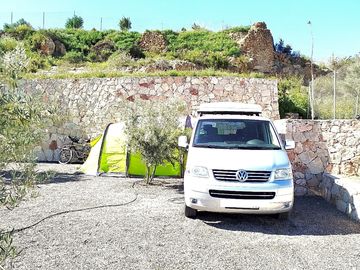 Pitch surrounded by olive trees