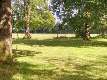 The site