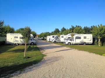 Pitches backed by trees