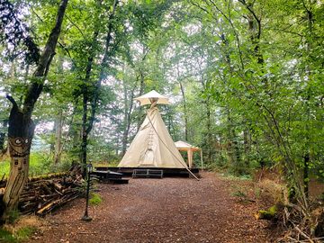 Tipi
