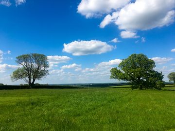 Another beautiful day at the field of dreams
