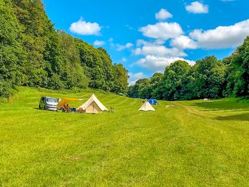 Visitor image of the lovely field