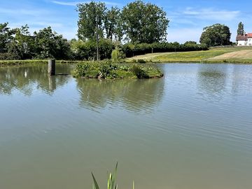 Lovely peaceful setting